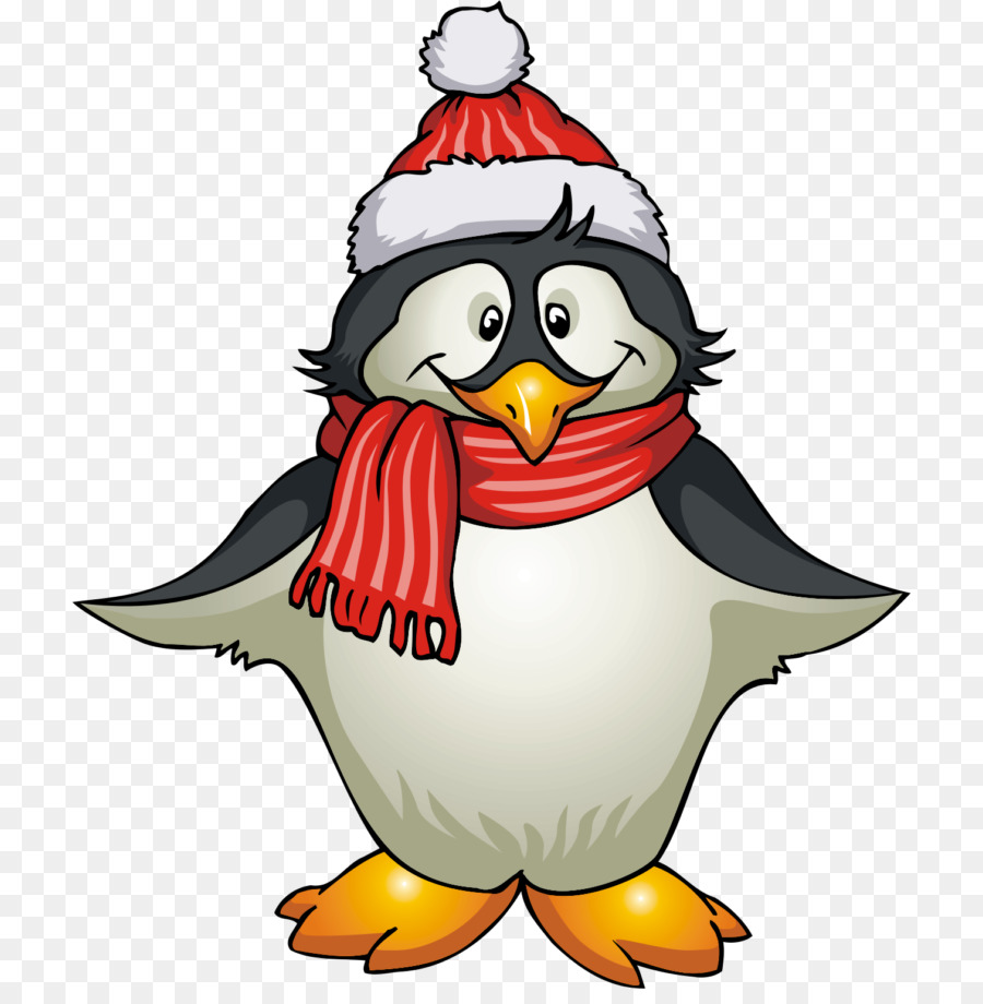 Pingüino，Invierno PNG