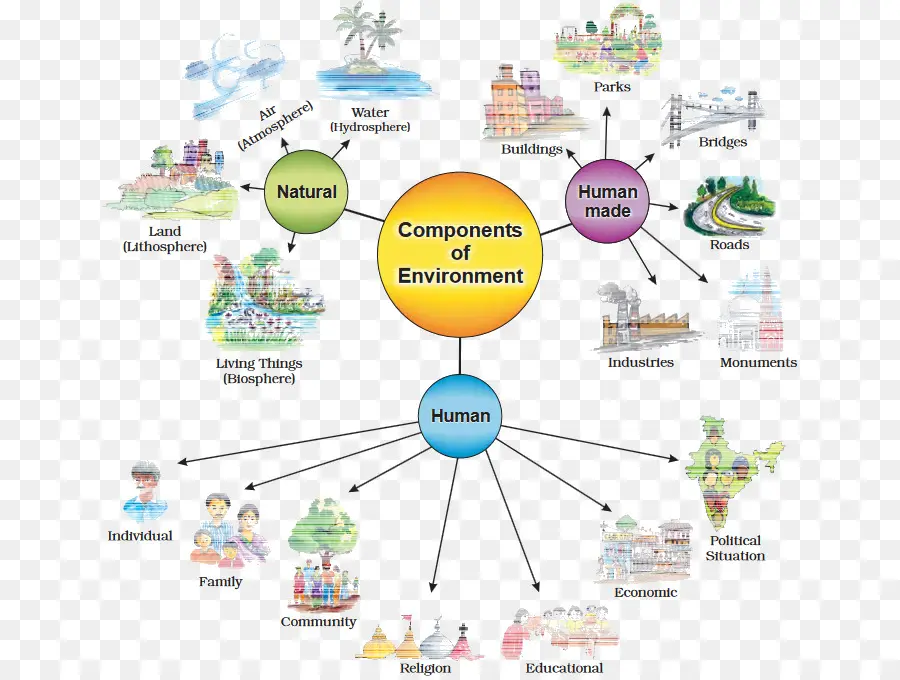 Diagrama De Entorno，Componentes PNG