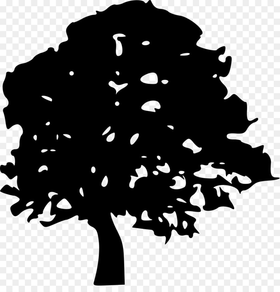 Silueta De Arbol，Planta PNG