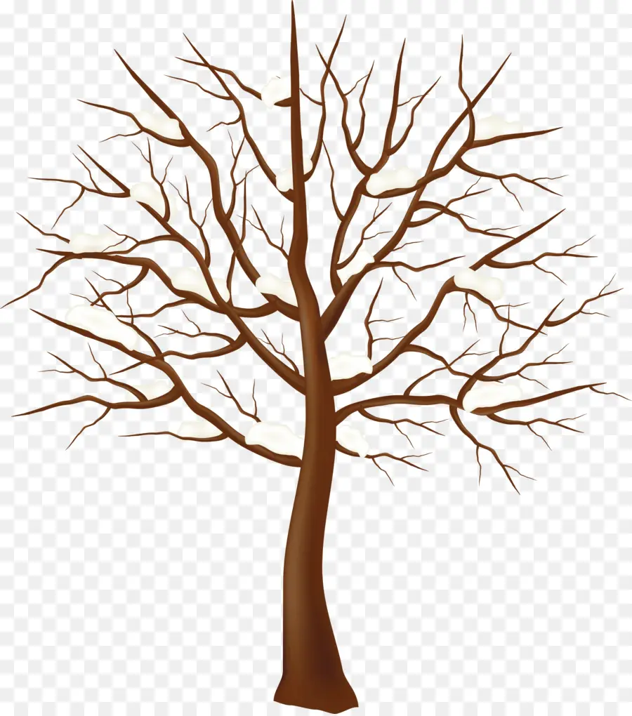 árbol，Invierno PNG