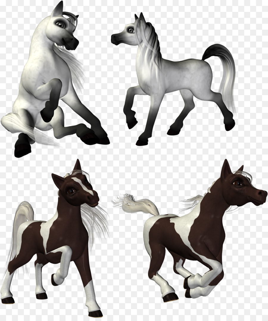 Horse Del Cuarto Americano，Caballo De Morgan PNG