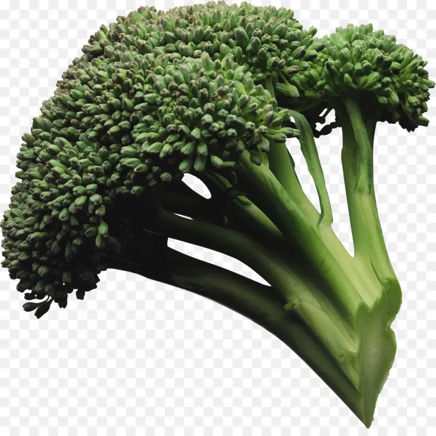 Brócoli，Ensalada De Brócoli PNG