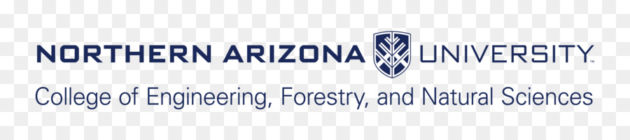 Universidad Del Norte De Arizona，Universidad De Arizona PNG