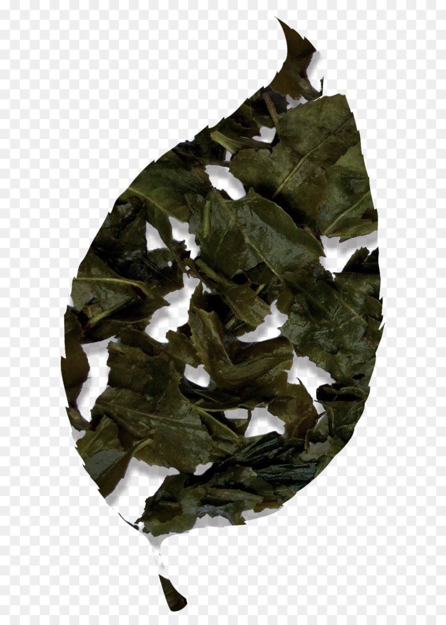 Hojas De Té，Verde PNG