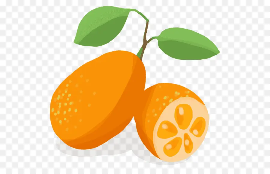 Clementine，Kumquat PNG