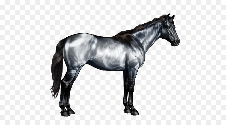 American Paint Horse，American Quarter Horse PNG