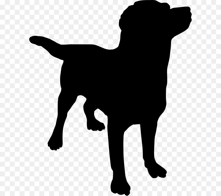 Perro，Cachorro PNG