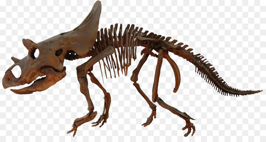 Agujaceratops，Velociraptor PNG