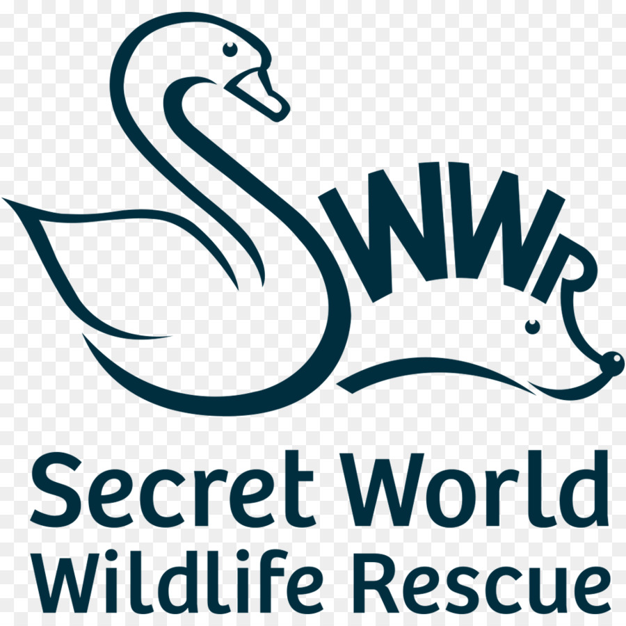 Mundo Secreto De La Vida Silvestre De Rescate Abierto De Animales De Admisión Sólo Se Vea El Sitio Web Para Eventos Públicos，Este Huntspill PNG