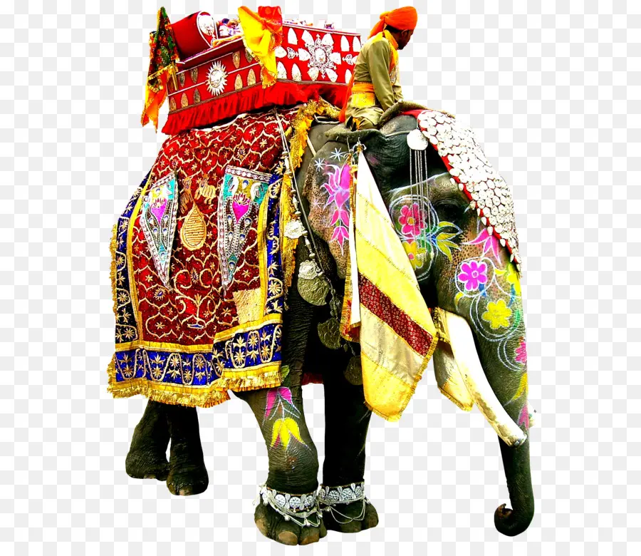 Elefante Decorado，Vistoso PNG