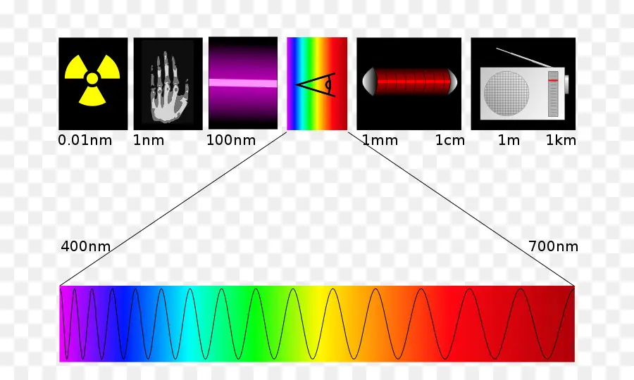 Espectro Electromagnético，Luz Visible PNG