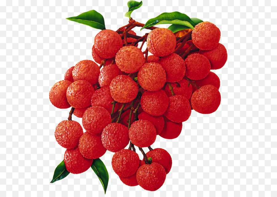 Lychee，Rojo PNG