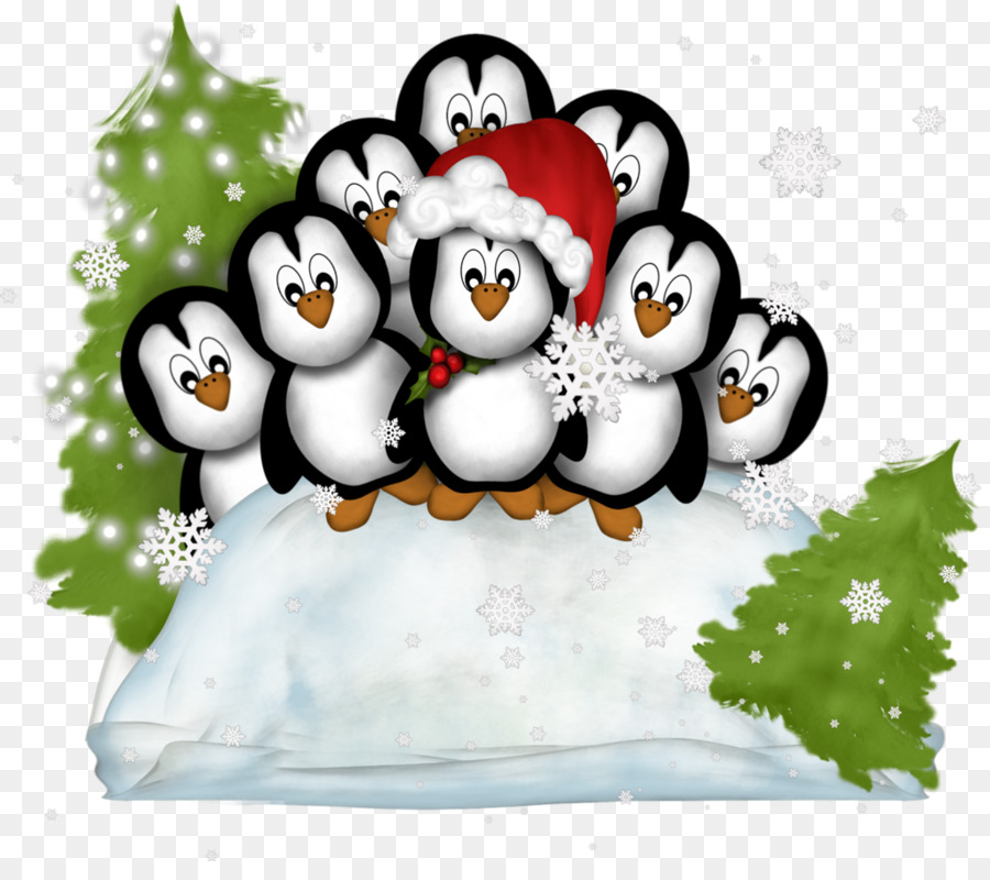 Pingüinos，Navidad PNG