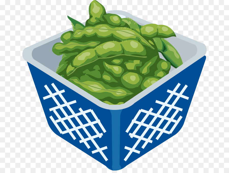 Vegetal，La Fruta PNG