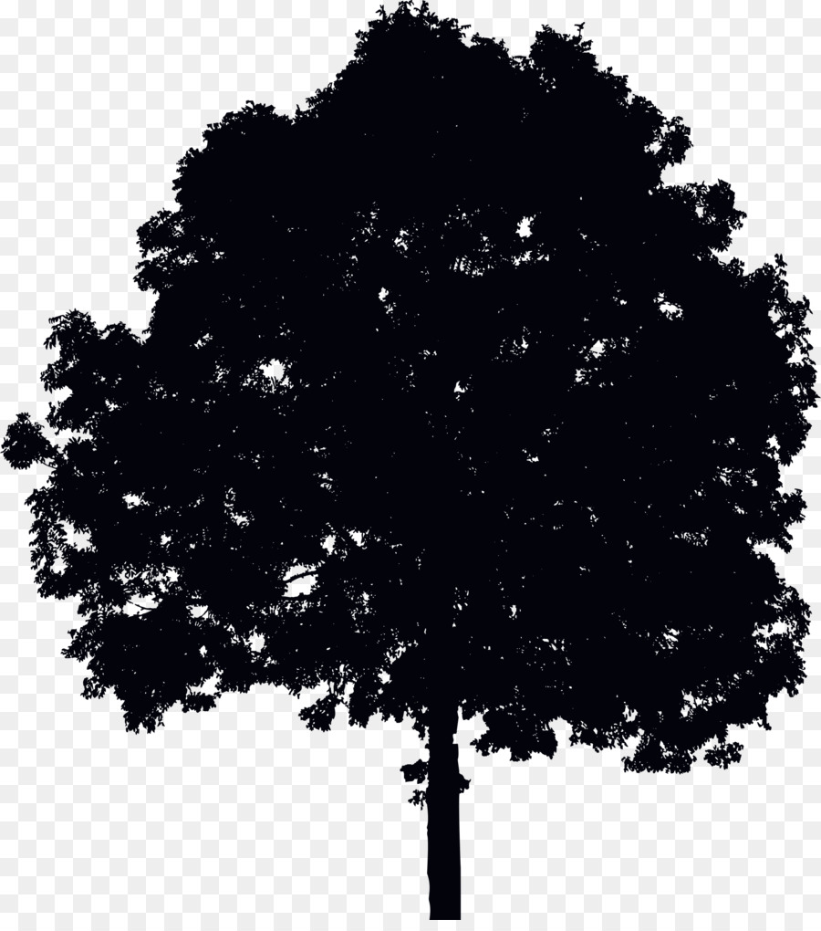 árbol，Ecología PNG