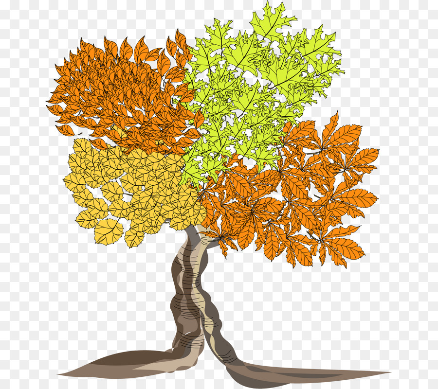 Árbol，Hojas PNG