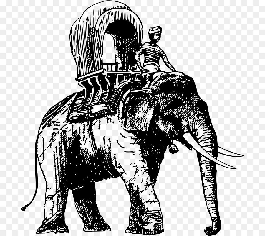 Elefante，Circo PNG