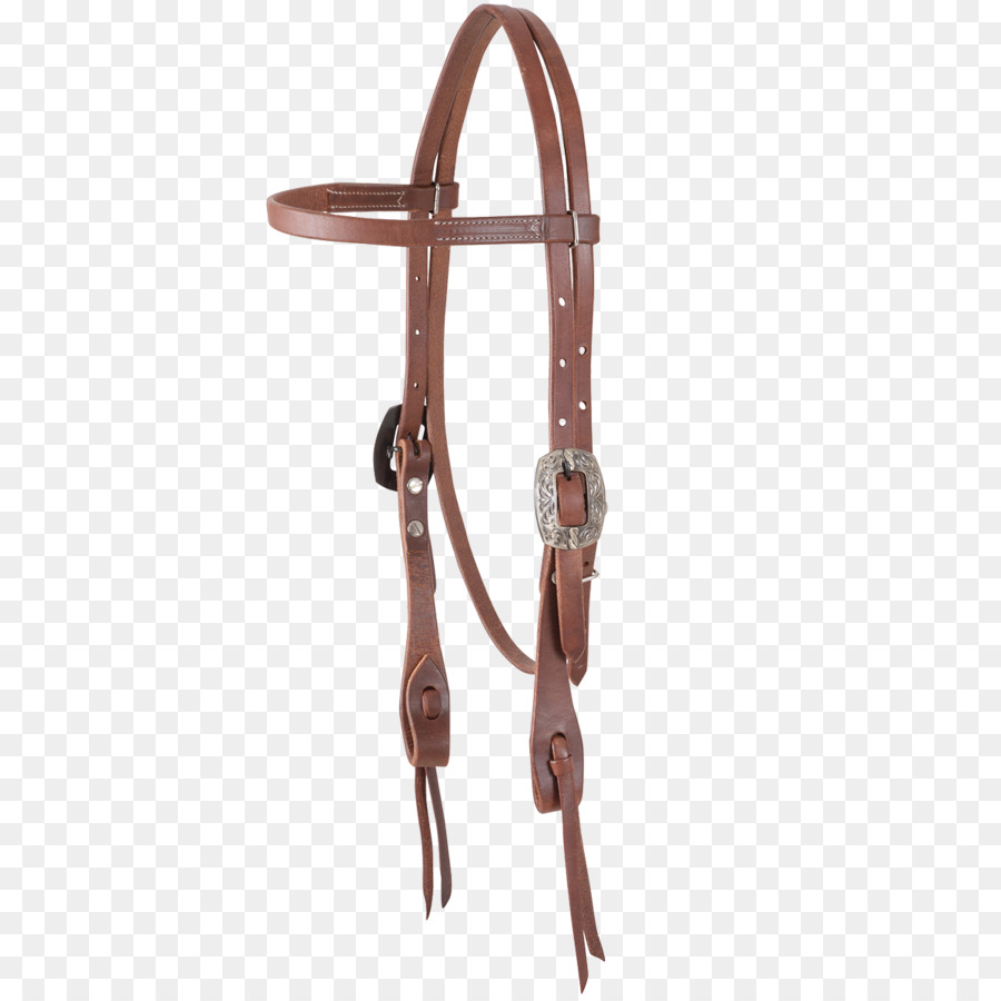 Brida，Caballo PNG