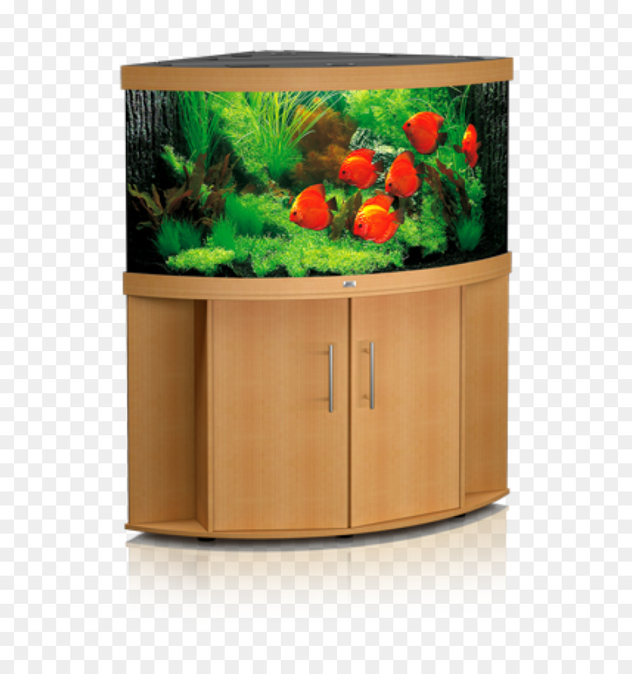 Acuario，Peces Tropicales PNG