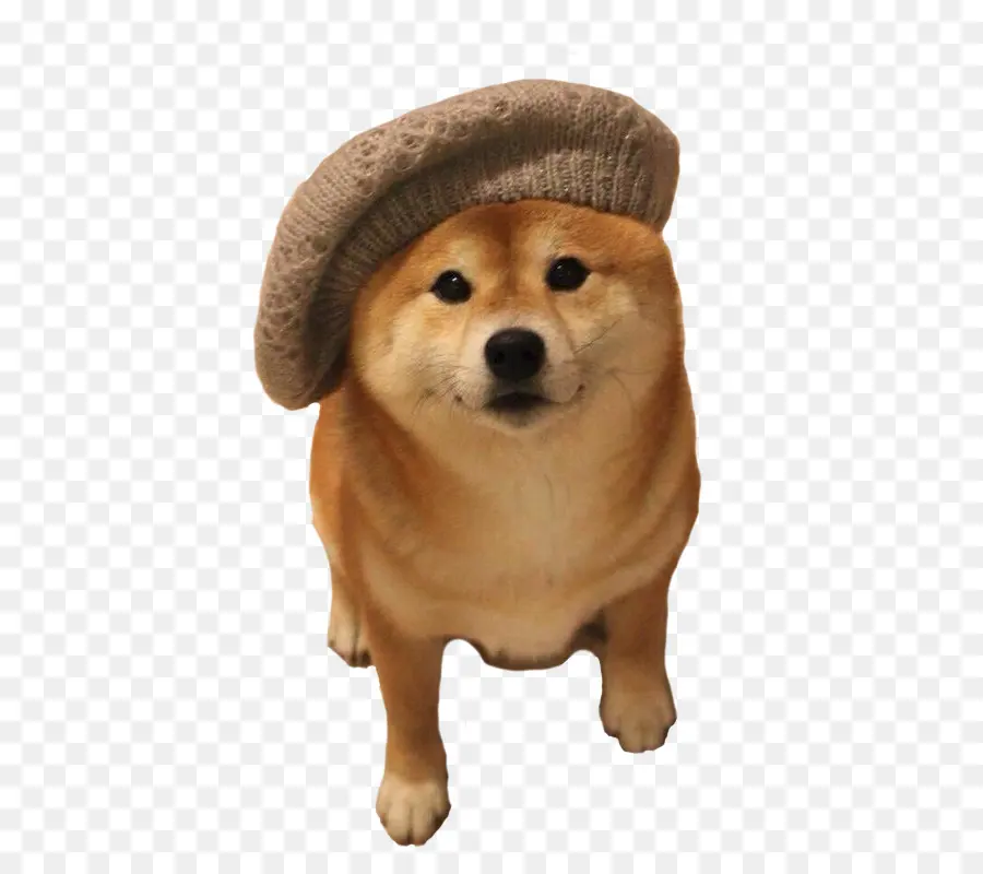 Shiba Inu，Akita PNG