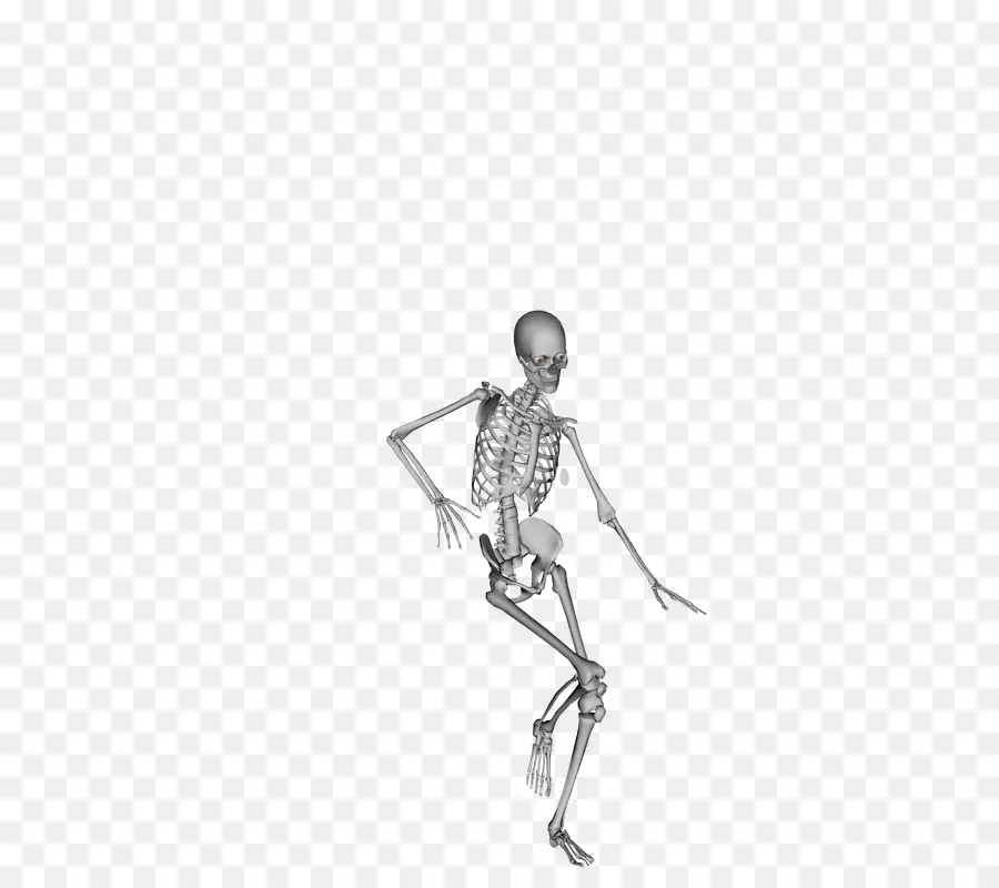 Esqueleto，La Danza PNG