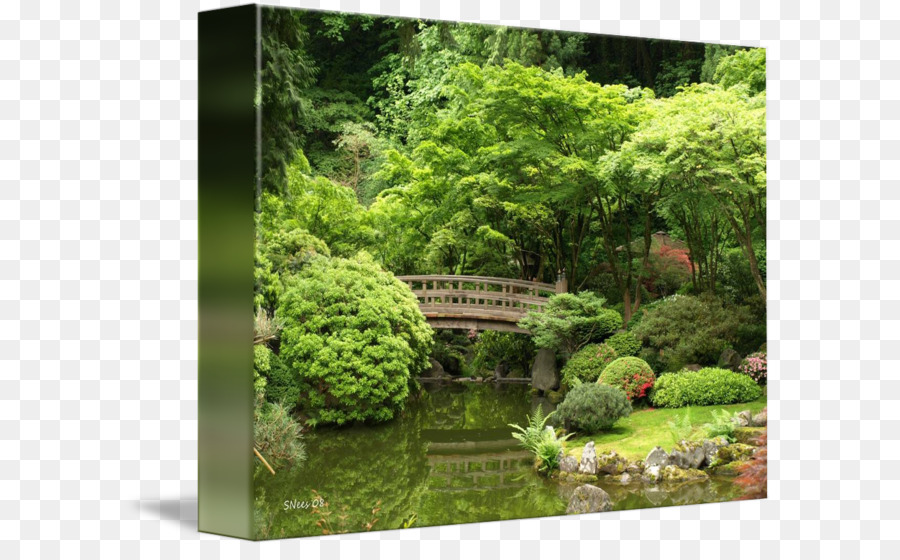 Jardín Japonés De Portland，Arte Fino PNG
