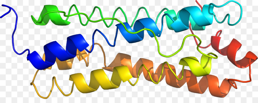 Hélice De Proteína，Molécula PNG