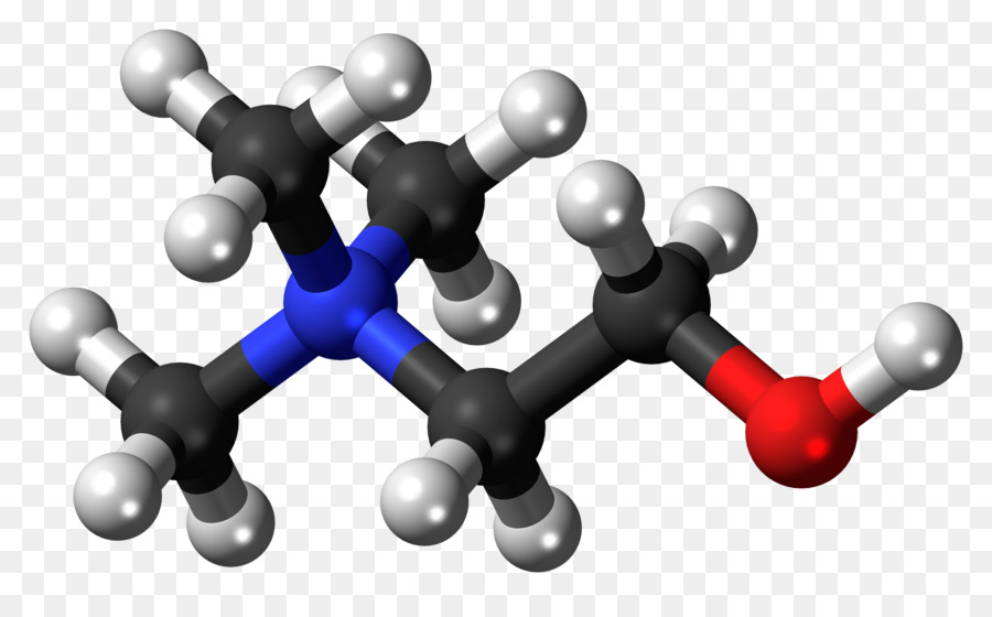 Acetilcolina，Neurotransmisor PNG