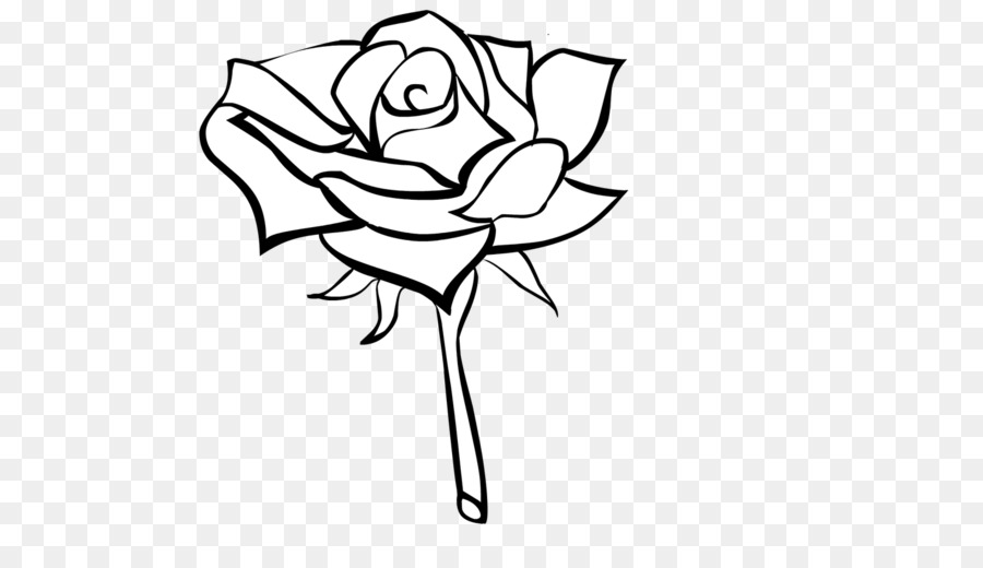 Diseño Floral，Dibujo PNG