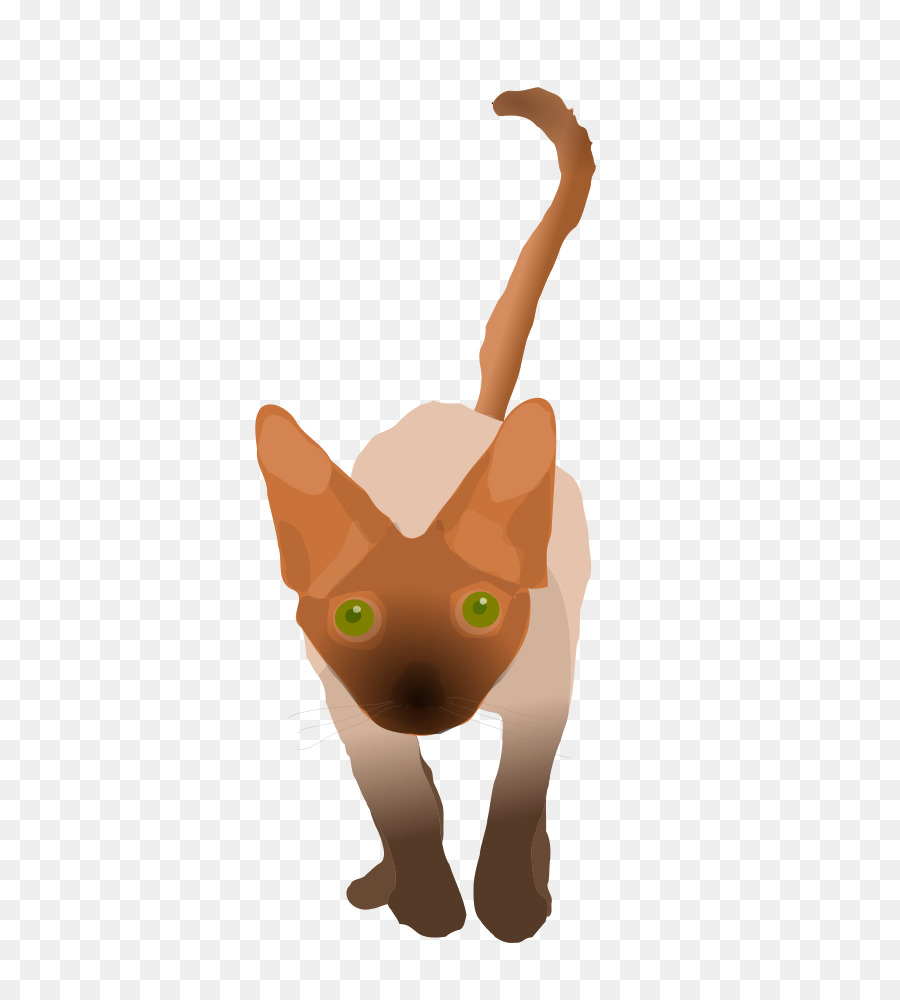 Gato Negro，Gatito PNG