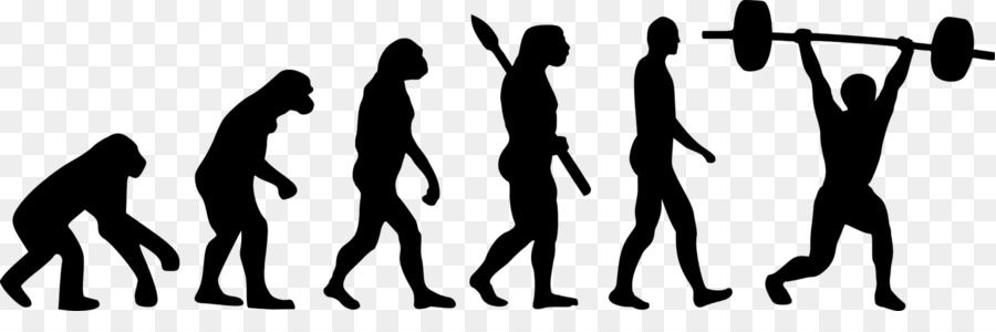 Evolución Humana，Evolución PNG