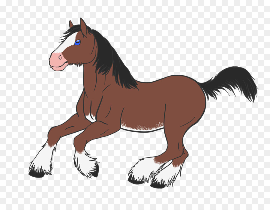 Caballo De Dibujos Animados，Poni PNG