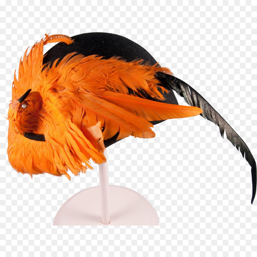 Pájaro，Sombrero PNG