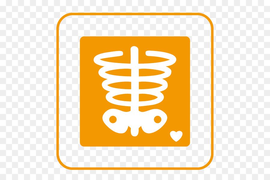 Xray，Iconos De Equipo PNG