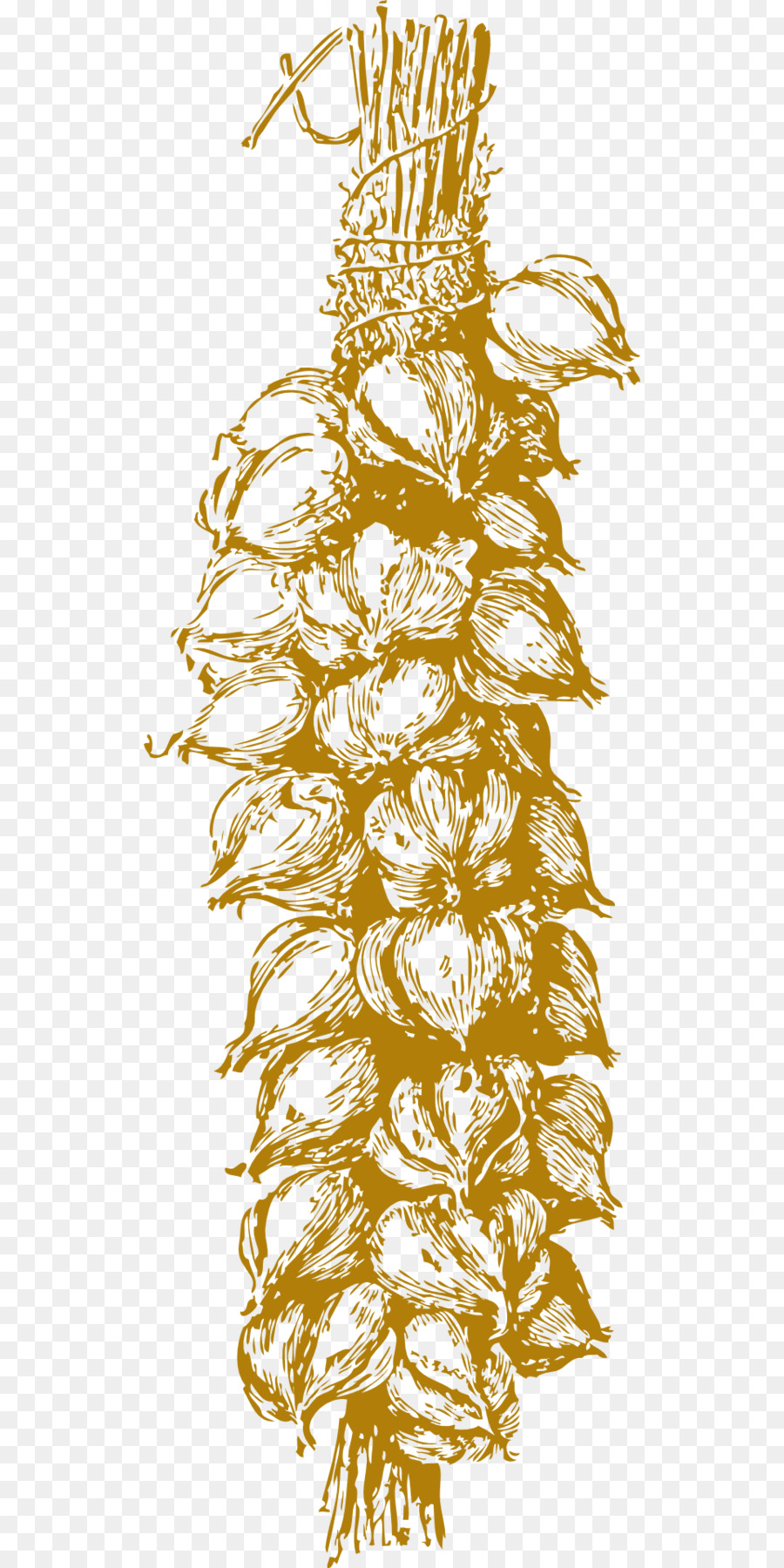 Trenza De Ajo，Ilustración PNG