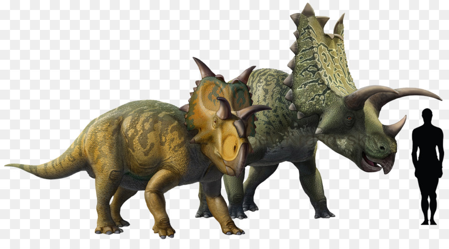 Pentaceratops，Chasmosaurus PNG