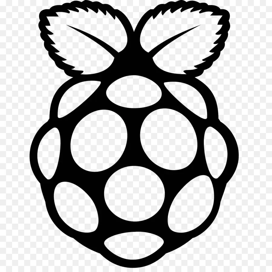 Raspberry Pi，Iconos De Equipo PNG