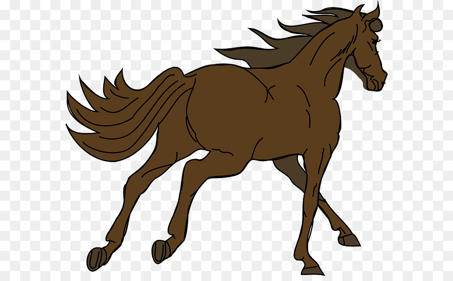 Caballo Corriendo，Animal PNG