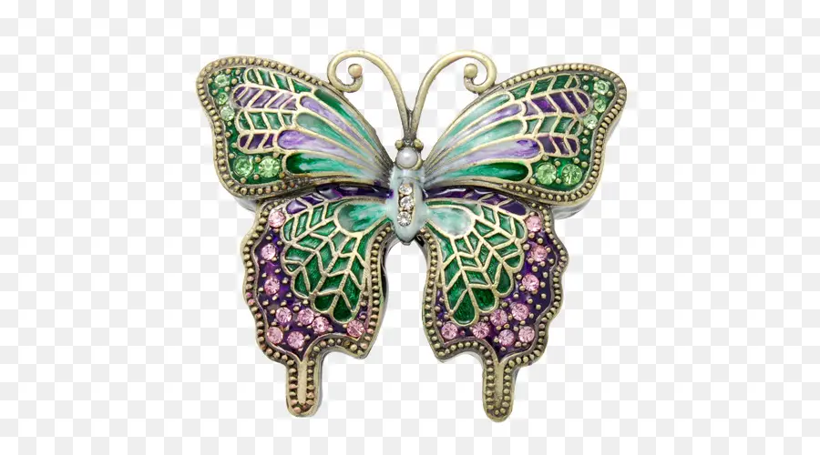 Broche De Mariposa，Vistoso PNG