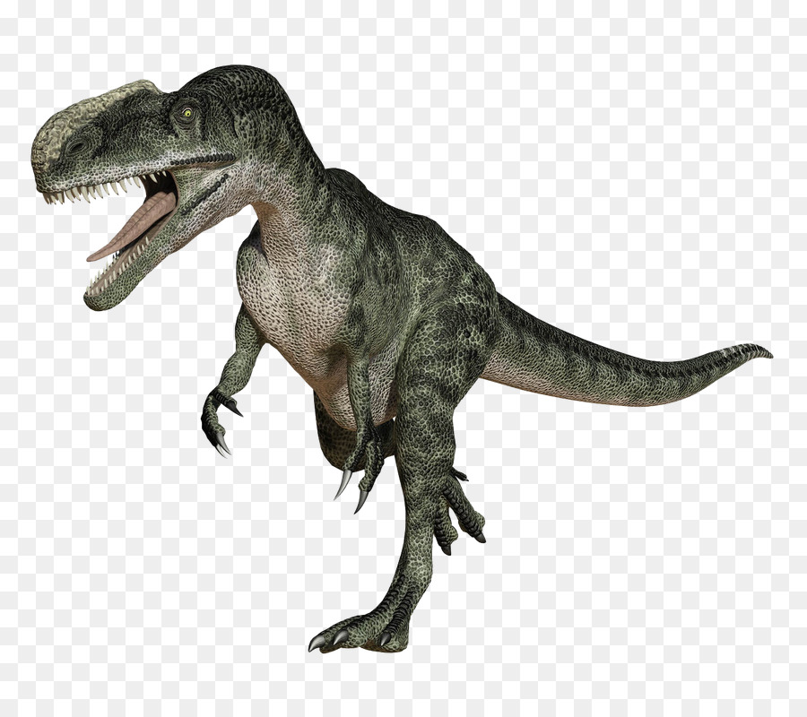 Tyrannosaurus，Dinosaurio PNG