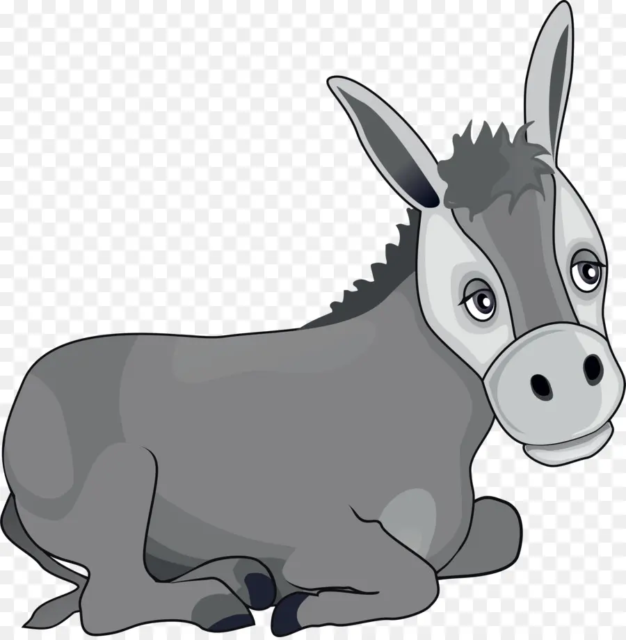 Mula，Burro PNG