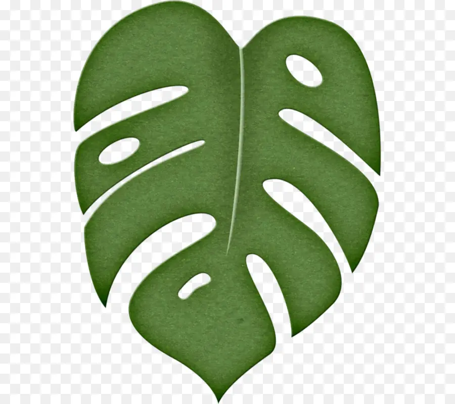 Hoja，Planta PNG