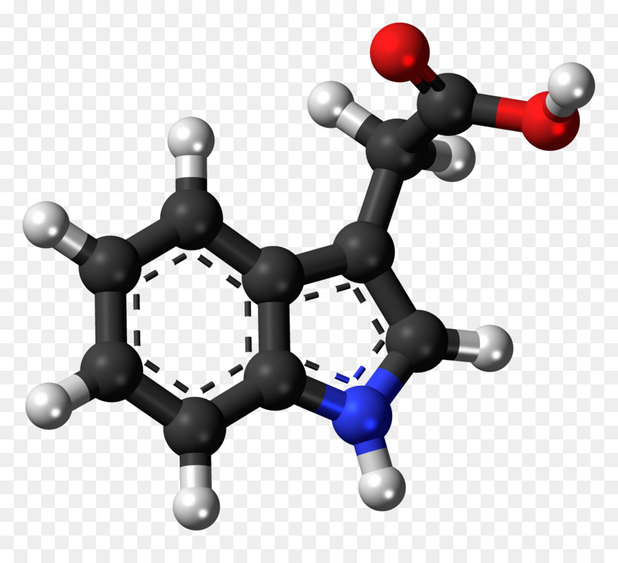 La Psilocibina，Setas De Psilocibina PNG