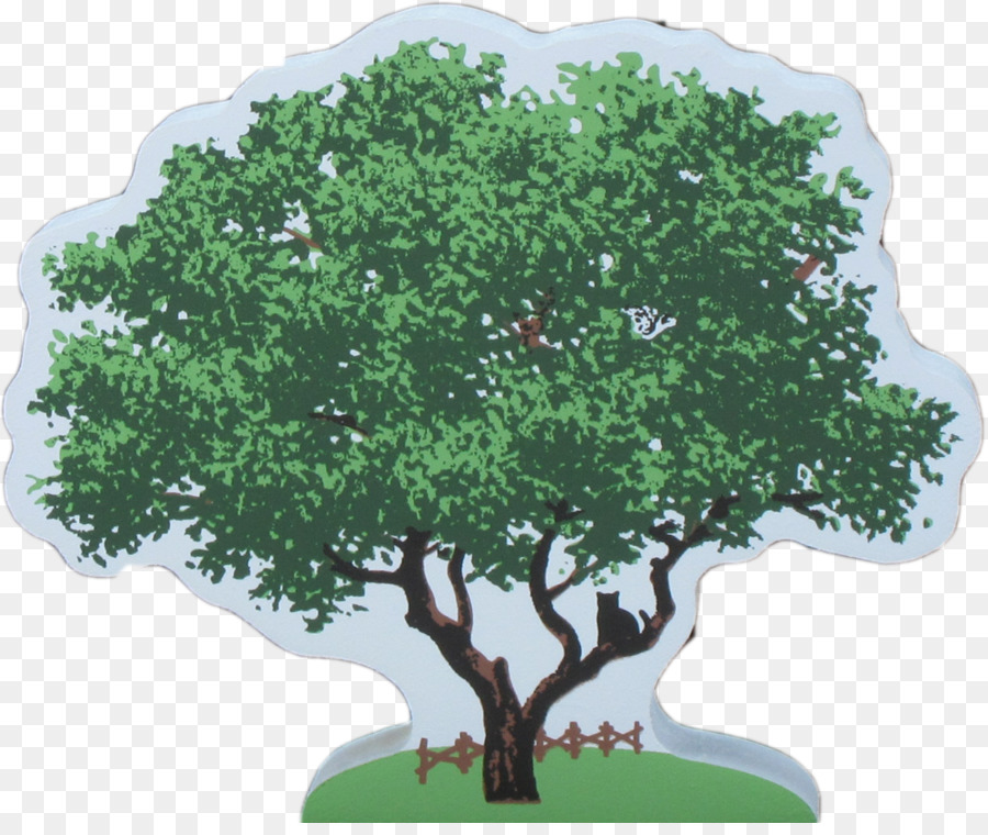 árbol，Roble PNG