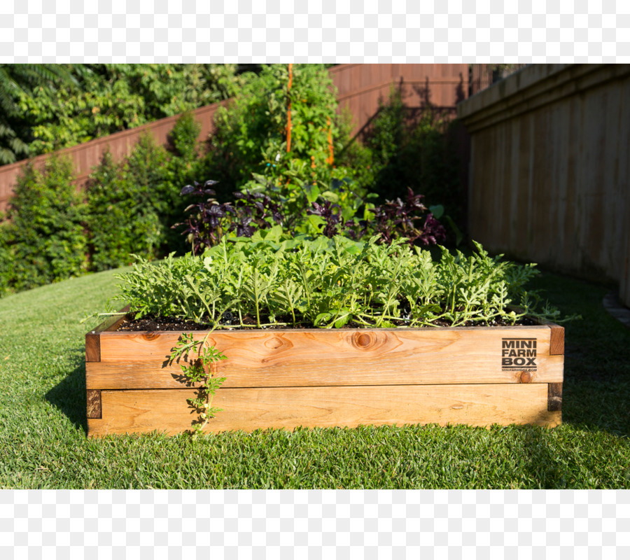 Raisedbed Jardinería，Jardín PNG