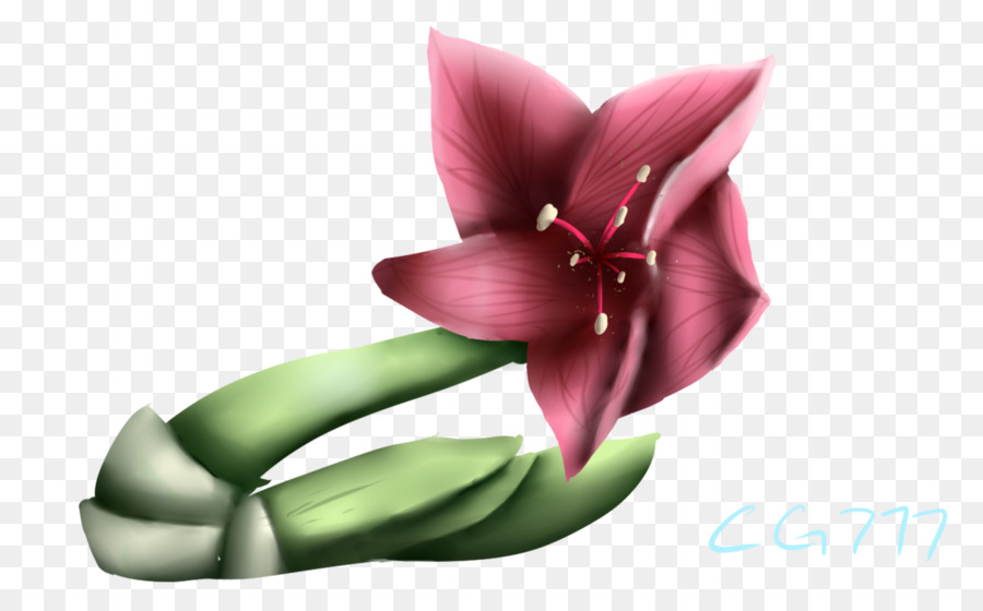 Pétalo，Cortar Flores PNG