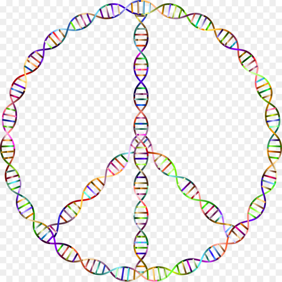 Adn，El ácido Nucleico De Doble Hélice PNG