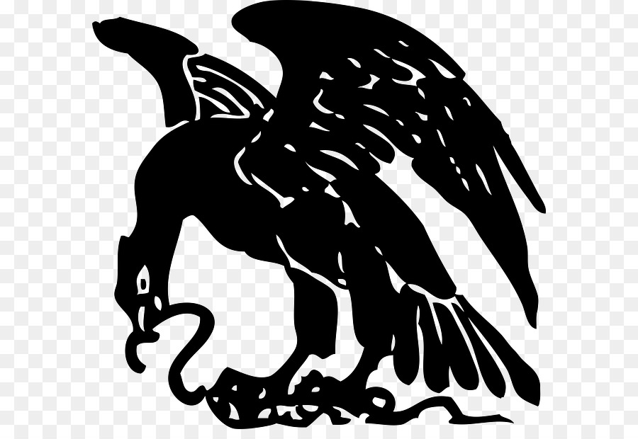 La Serpiente，águila Calva PNG