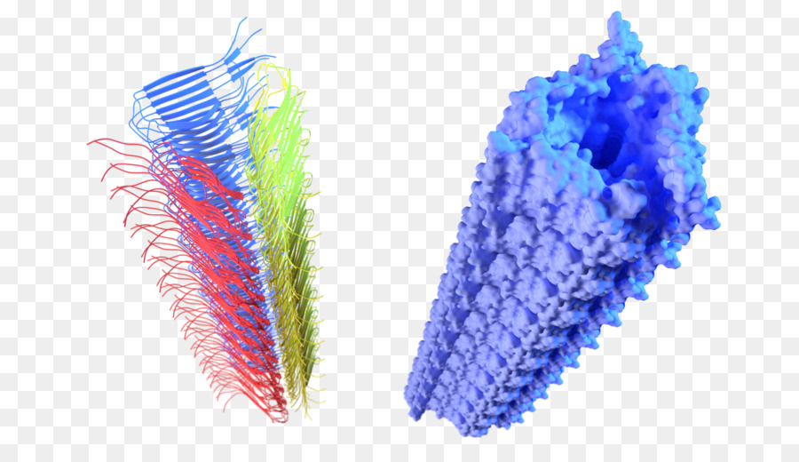 3d Computer Graphics，Fibrilla PNG