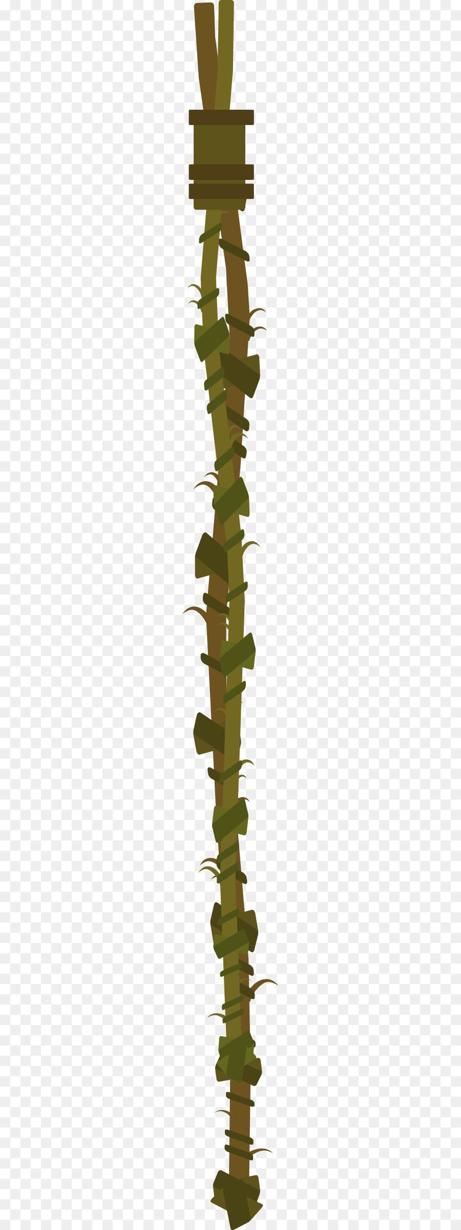 Enredadera，Planta PNG